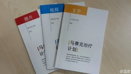 马赛克治疗计划，作品图 1