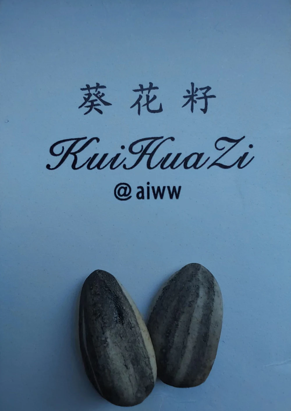 艾未未的葵花籽，作品图 1